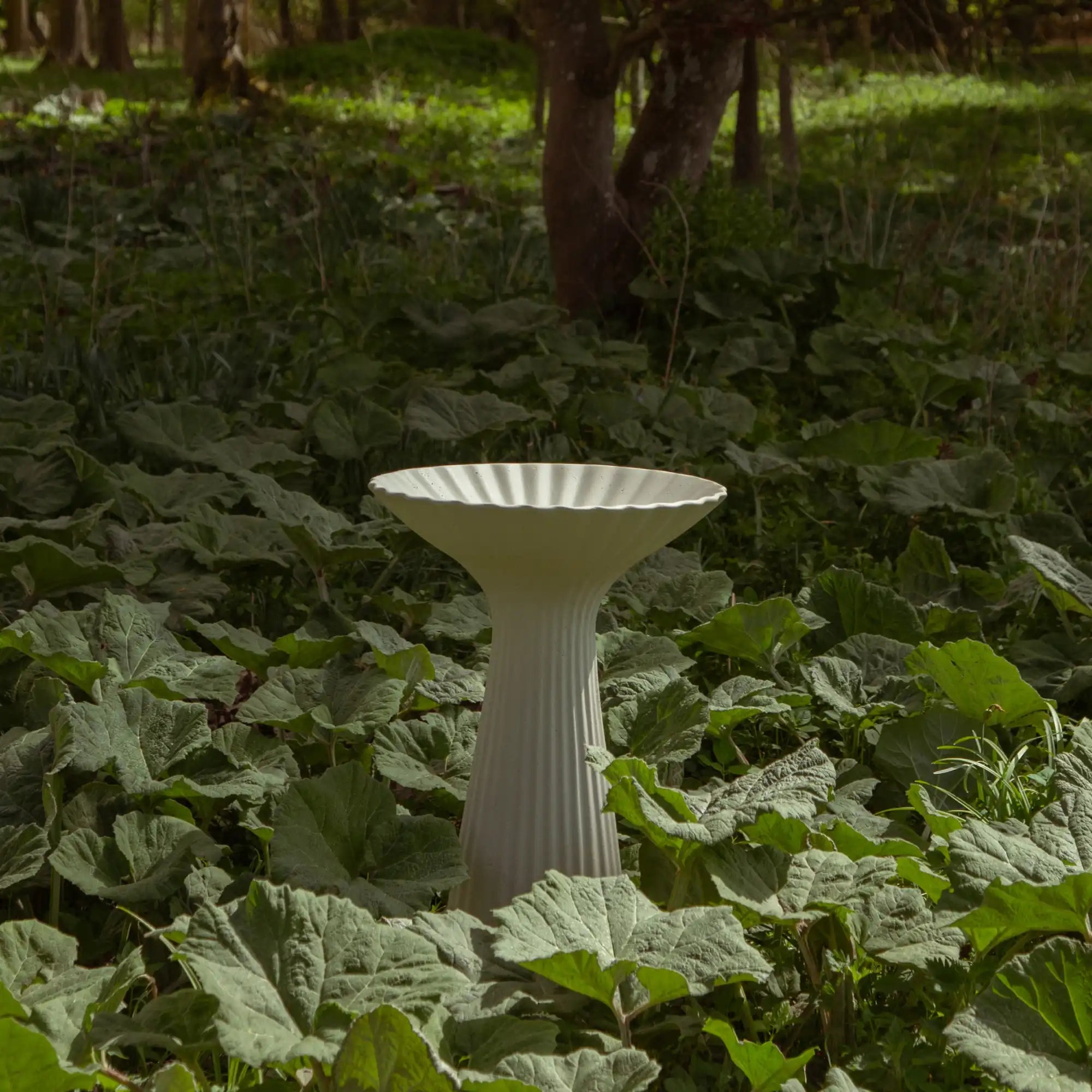 Green Space, riflet hvidt fuglebad på en sokkel omgivet af brede grønne blade