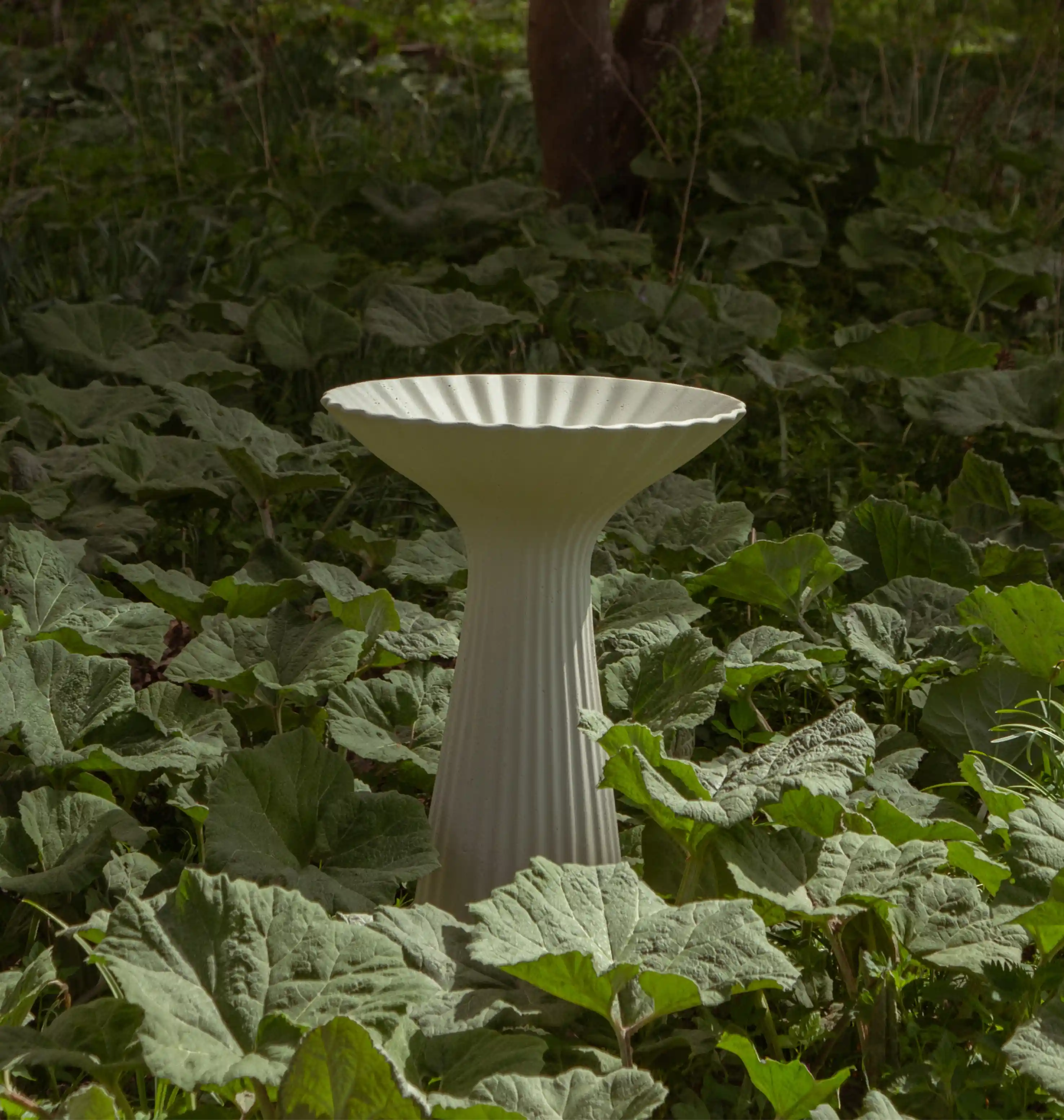 Green Space, riflet fuglebad i hvid stående mellem brede grønne blade i en have